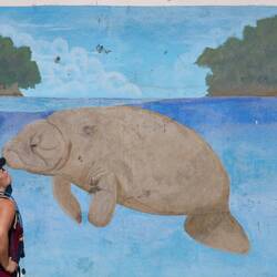 Nette Begrüßung. Manatis und Flussdelfine soll es hier auch (selten) geben😍