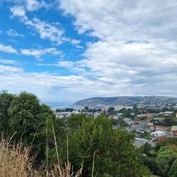 Aussicht vom Hügel auf Oamaru