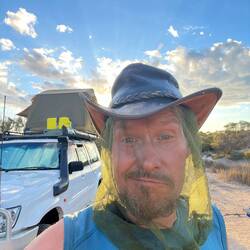 Fliegen... überall Fliegen