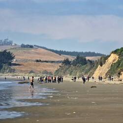 Wo sind wohl die Steine am Strand?