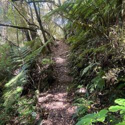 Trotters Gorge Track