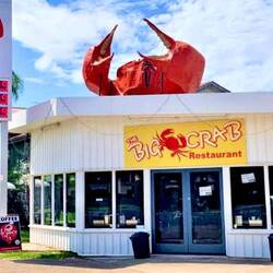 Fabulous crab sandwiches in Miriam Vale