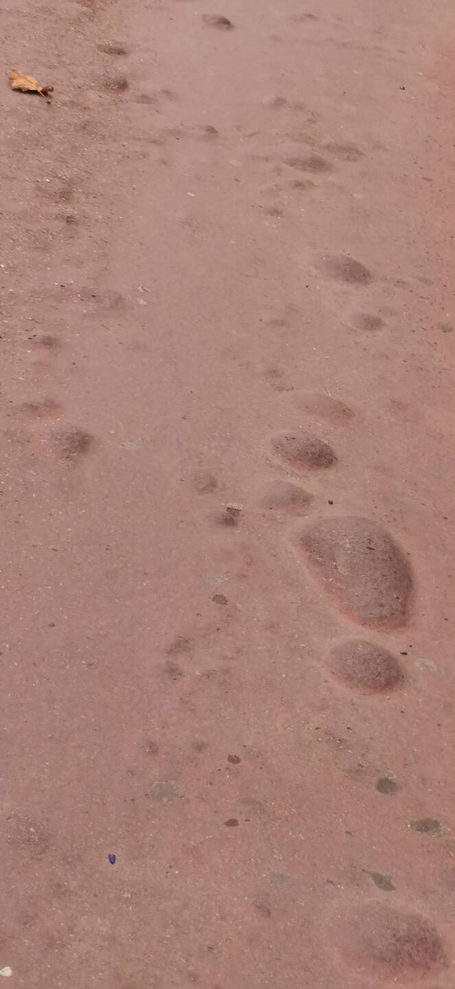 Versucht hier mal einen Koffer drüber zu rollen 🤪