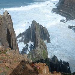 Storch versteckt sich prima hinterm Fels.