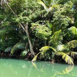 Rückweg mit mehr Sonne