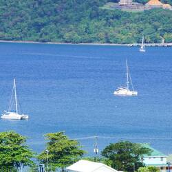 unsere Vitila wartet brav