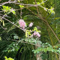 Blütenpracht auf allen Seiten