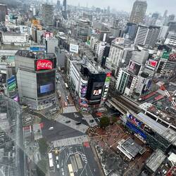Die Kreuzung Shibuya Crossing.
