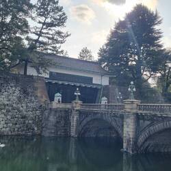 Ein Hamburger Schwan!