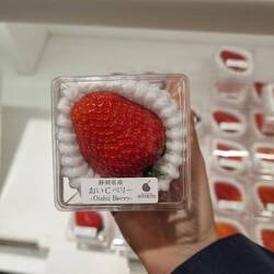 Was eine Erdbeere. Das Stück kostet 5,50 €.