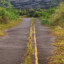 Leilani street ends at lava flow