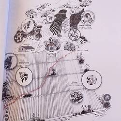 Red fault line through the vineyard