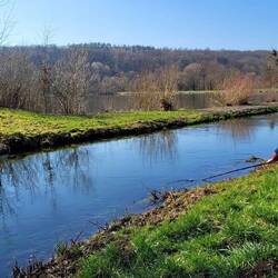 Unterwasseraufnahmen werden gefilmt.