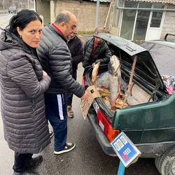 Fischi, Fischi aus dem Auto direkt in die Pfanne