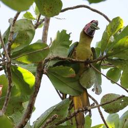 Beim Mandel knacken😊