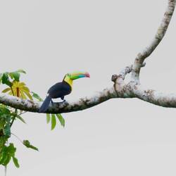 Vor Schreck total überbelichtet, aber ein Beweisfoto muss sein😄