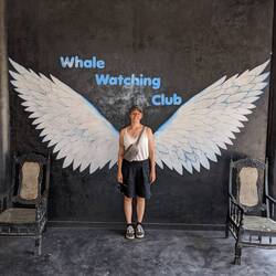 Kleiner Hinweis auf Morgen... 🐳🌊