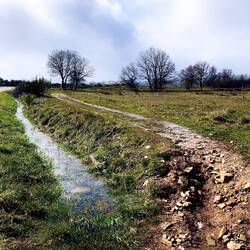 Selbst die Wege sind bei dem ganzen Regen überschwemmt...