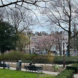 Signs of spring 🌸