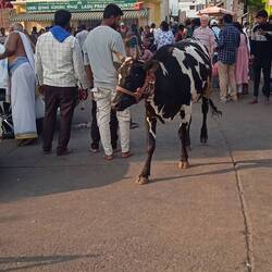 Au beau milieu comme toujours....