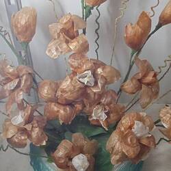 Et d'oignons. Une pensée pour Jacqueline van Acker....une amie artiste récemment décédée