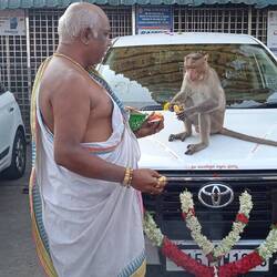 Bénédiction d'une voiture....tout le monde s'y colle 🐵🐒🦧