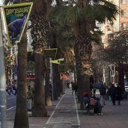 Das ist ein schöner Fahrradweg, oder?