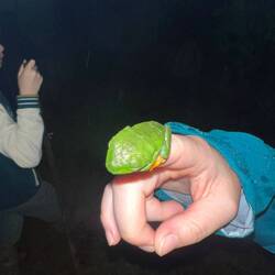 Als Ast mache ich mich ganz gut🙂 gute Nacht!