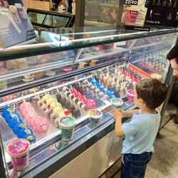 So many kinds of icecream treats