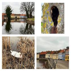 Um den Schlossgraben