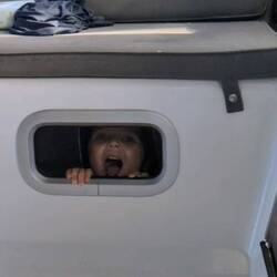 Oakley found the window!