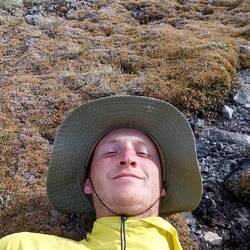 a short nap on moss
