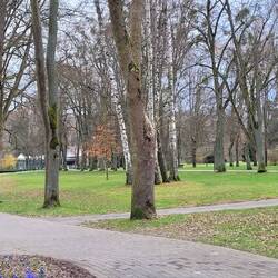 im Kurpark