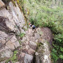 Thankfully lots of ropes to cling to