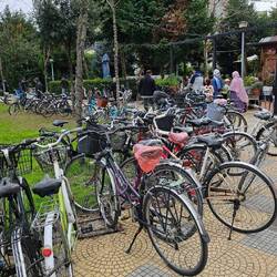 On a jamais vu autant de vélos !