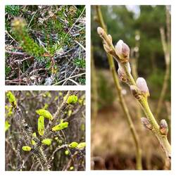 ...und es treibt...🥰