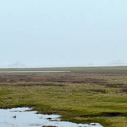 Da sind zwei ⛴️⛴️ und ein 🚤