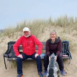 Kurz hinter Vlissingen in den Dünen!