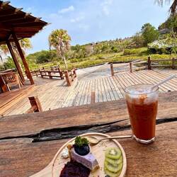 Mein neuer Freund Blueberry Cheescake, aber warum die Petersilie ? 🤪