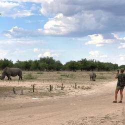 Die Rhinos und ich