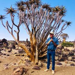 Gil erklärt die Köcherbäume
