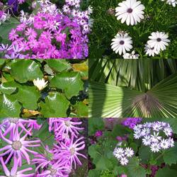 Après midi visite d'un très beau parc
