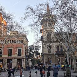 Es hat Spaß gemacht, die Kinder beim Spiel mit den Seifenblasen zu beobachten