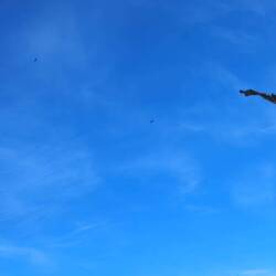 Για πρώτη φορά κονδορες live