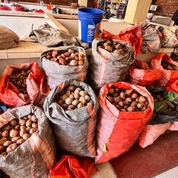 Einige der fast 3000 Sorten Kartoffeln, die es in Peru gibt