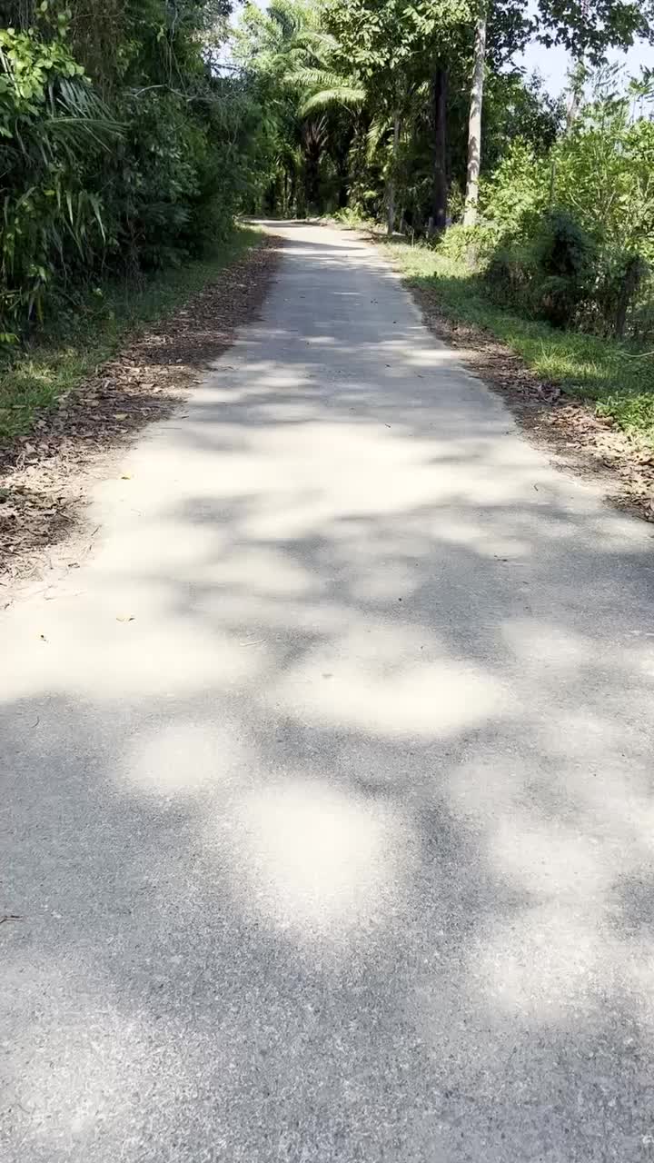 Hat eigentlich vielversprechend angefangen