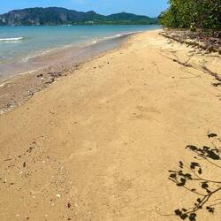 beach for horse riding