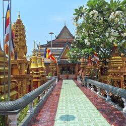 Beautiful grounds including plumeria and shade in these temple grounds