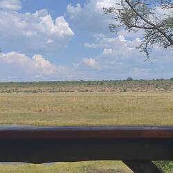 Blick von der Terrasse