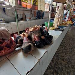 I cant believe people eat snouts. Yuck